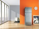 Indesit Combinazione Frigorifero/Congelatore A libera installazione TAAN 6 FNF S1 Argento 2 porte Lifestyle frontal