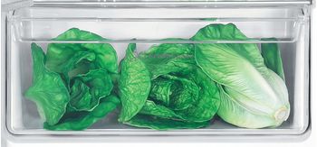 Indesit Combinazione Frigorifero/Congelatore Da incasso IN D 2040 AA Bianco 2 porte Drawer