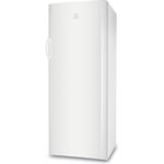 Indesit-Congelatore-A-libera-installazione-UIAA-10.1-Bianco-Perspective